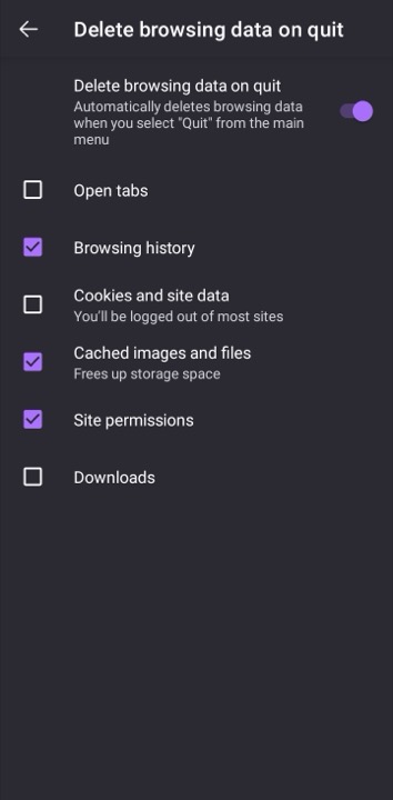 Delete browsing data on quit